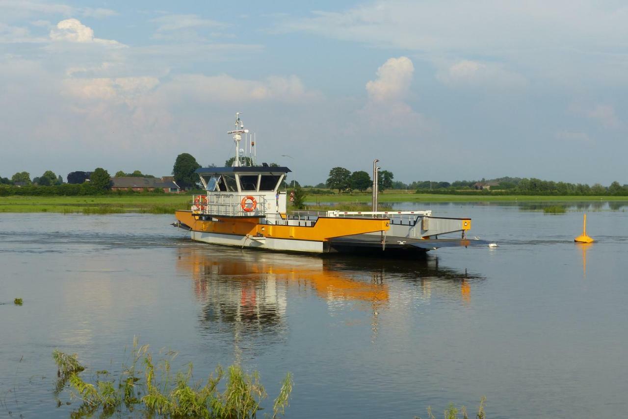 B&B Onder de rode beuk Dieren Exterior foto